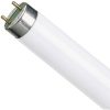TL D 100x100 - Лампа люмінесцентна TL-D 36W/840 G13 PHILIPS