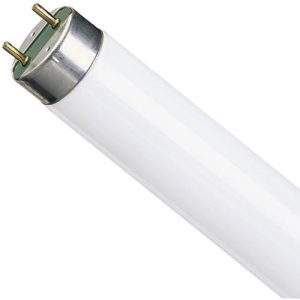 TL D 300x300 - Лампа люмінесцентна TL-D 18W/840 G13 PHILIPS