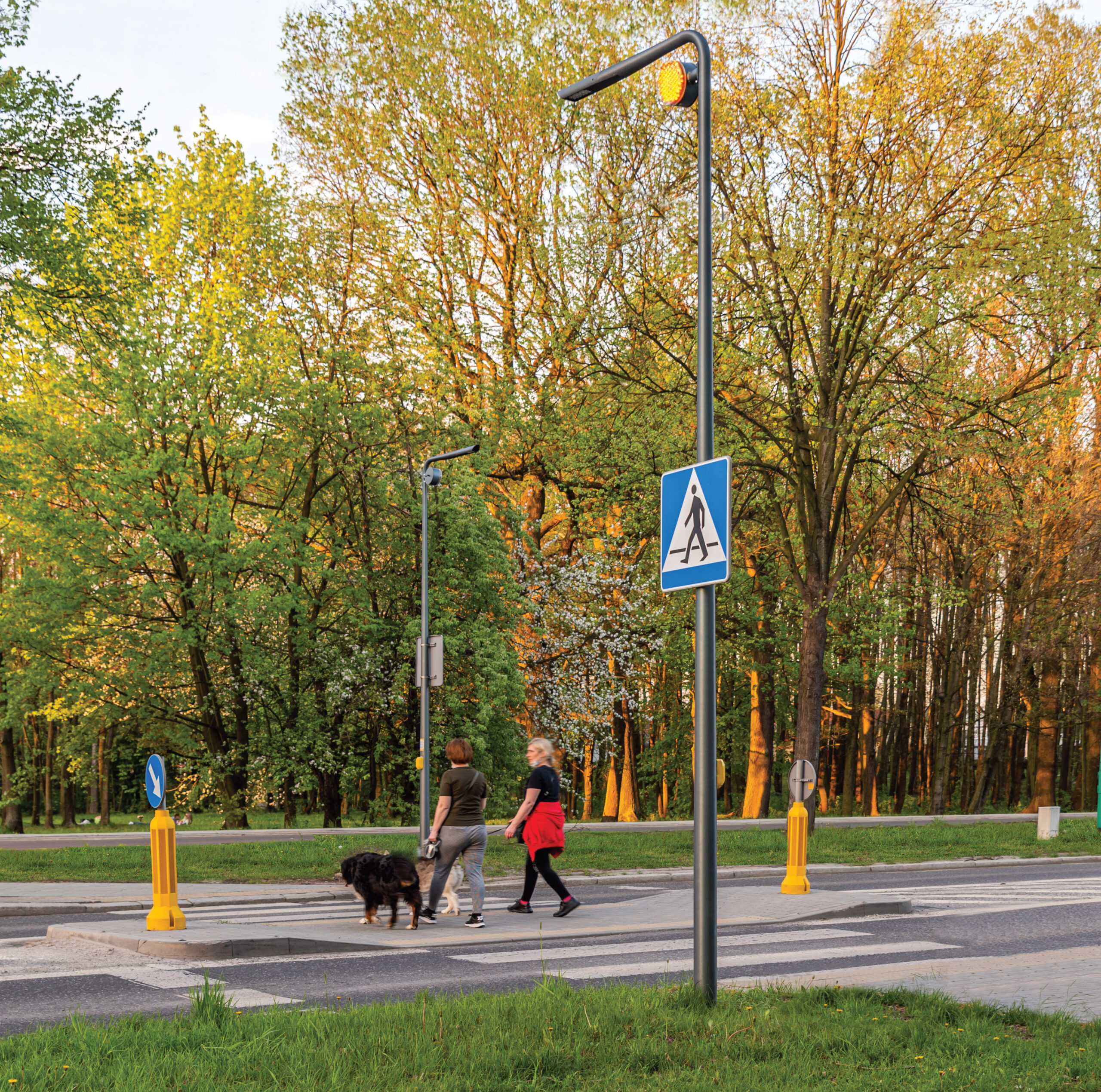 1 1 scaled - Безпечний пішохідний перехід. Коли переходи в Україні стануть дійсно безпечні?